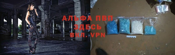 амф Богданович