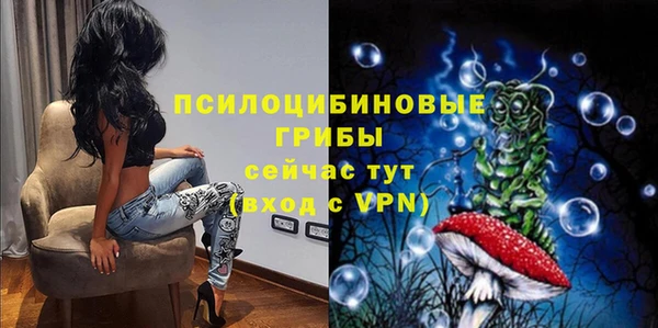 бутират Белокуриха