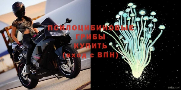твердый Богородск